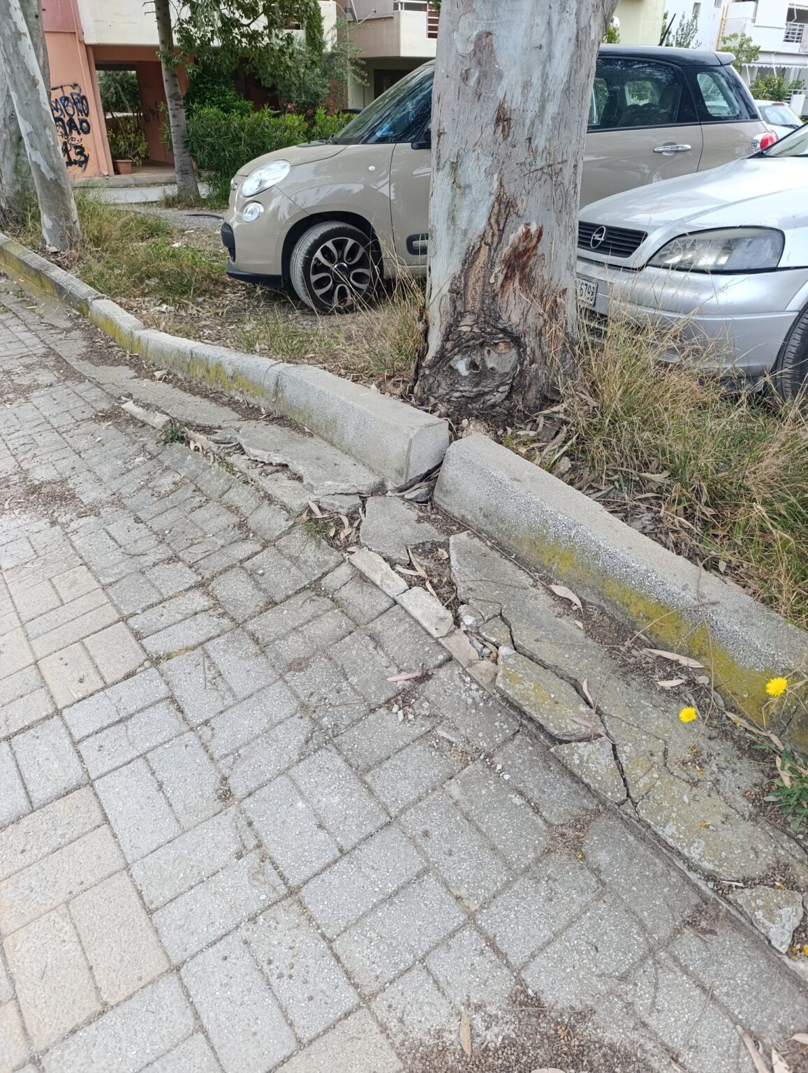 Απαράδεκτες εικόνες στο κέντρο της Χαλκίδας