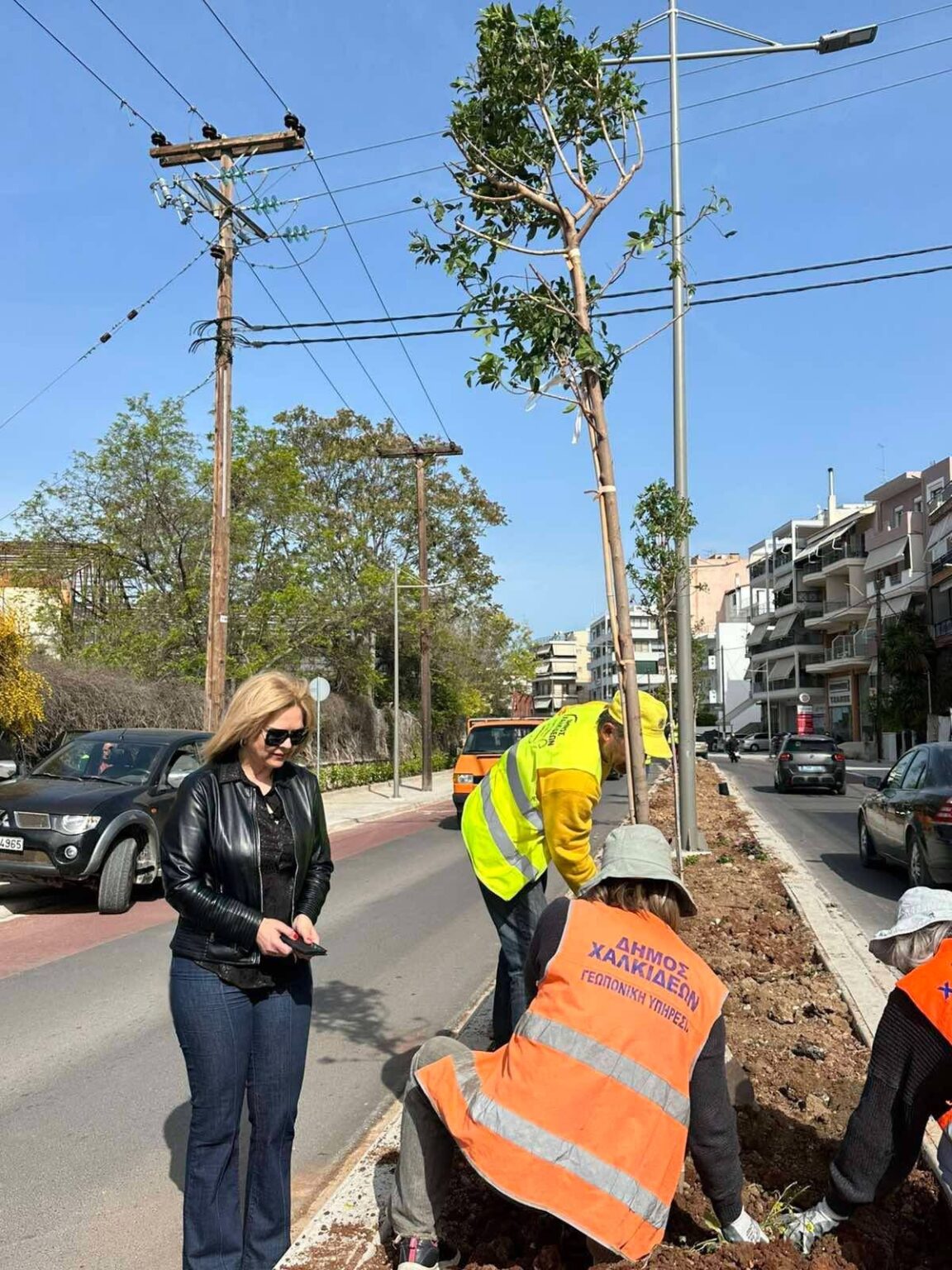 Νέα φύτευση στην οδό Αρεθούσης