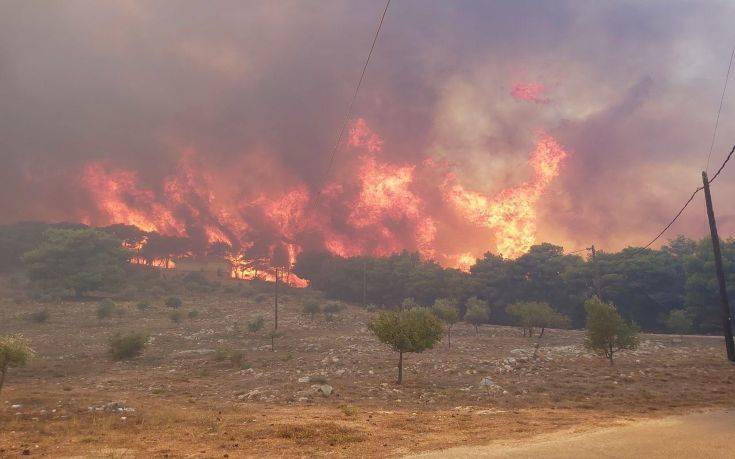 Μεγάλη φωτιά στην Εύβοια: Καίγεται δασική έκταση – Εκκενώθηκε ξενοδοχείο, μήνυμα από το 112