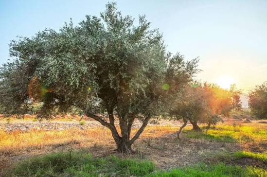 «Ρε, δεν πάμε καλά…»