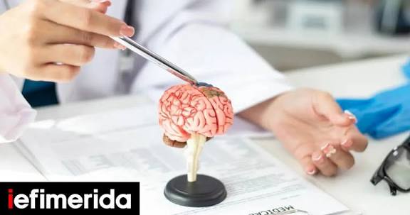 Ελπίδα για τους πάσχοντες από Αλτσχάιμερ: Συμπλήρωμα διατροφής μπορεί να αποκαταστήσει τη μνήμη, σύμφωνα με νέα μελέτη