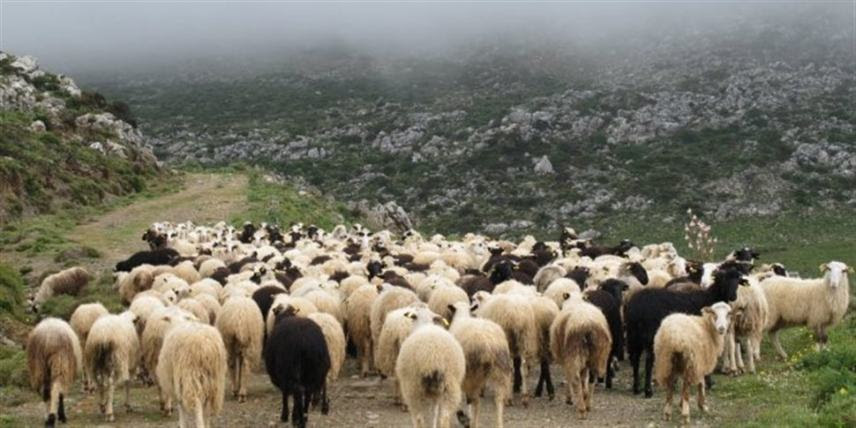 Βάκης Τσιομπανίδης: «Καμία απάντηση στα αιτήματα των αγροτών και επιχείρηση κοινωνικού αυτοματισμού»