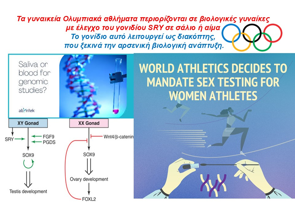 ΓΕΝΕΤΙΚΟΣ ΕΛΕΓΧΟΣ ΓΙΑ ΣΥΜΜΕΤΟΧΗ ΓΥΝΑΙΚΩΝ ΣΤΟΥΣ ΟΛΥΜΠΙΑΚΟΥΣ ΑΓΩΝΕΣ