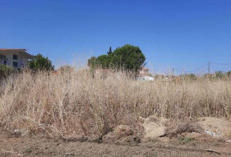 Ακαθάριστα οικόπεδα: Μέχρι 15 Ιουνίου καθαρισμός και δήλωση – Πρόστιμα έως 2.000 ευρώ και ποινές για ψευδή δήλωση