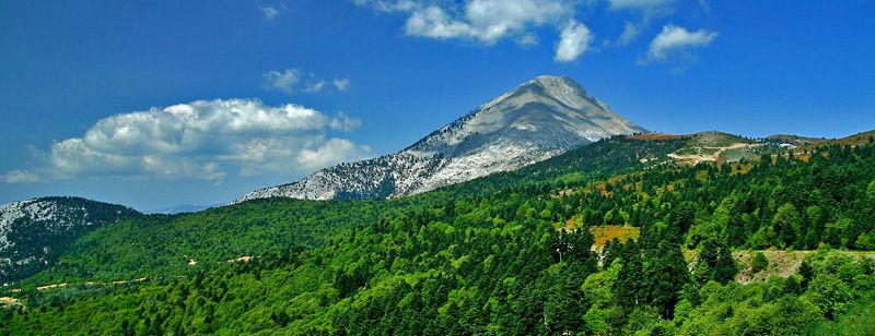 Natura στο σφυρί, δάση σε αναστολή, μπετόν με υπογραφή: το ΥΠΕΝ ανοίγει τον δρόμο για το μεγάλο ξεχείλωμα