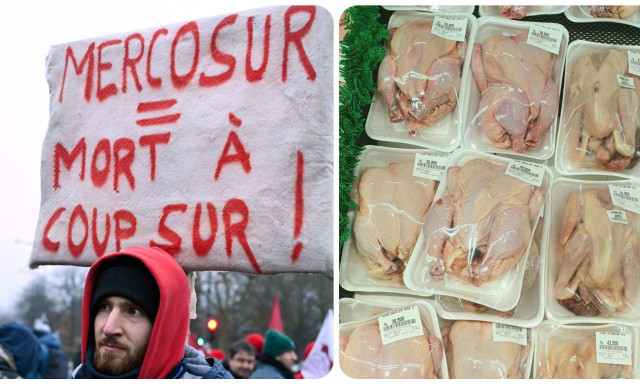 Mercosur: Εισαγόμενος κίνδυνος στο πιάτο των Ευρωπαίων