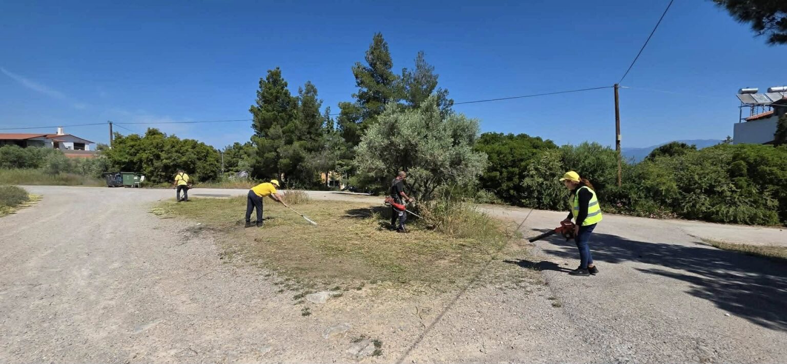 Ανθηδόνα: Οι μικρές εργασίες που κάνουν μεγάλη διαφορά στην καθημερινότητα