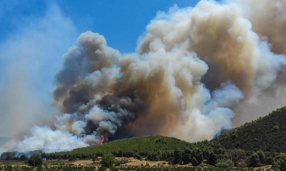 Στα καμμένα δάση της Βόρειας Εύβοιας θα χτίσουν Κέντρα Δεδομένων (Data Centers) προκαλώντας έντονες αντιδράσεις