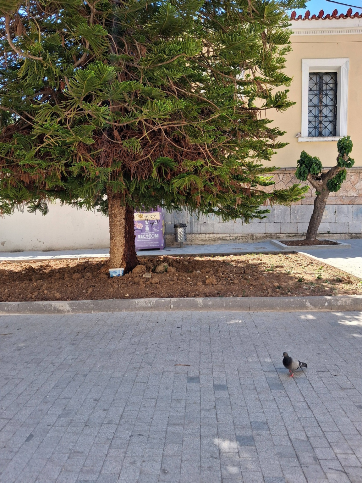 Χαλκίδα: Ποιος αποφάσισε να εξαφανίσει τα παγκάκια από την πλατειούλα έξω από το παλιό ΠΙΚΠΑ;