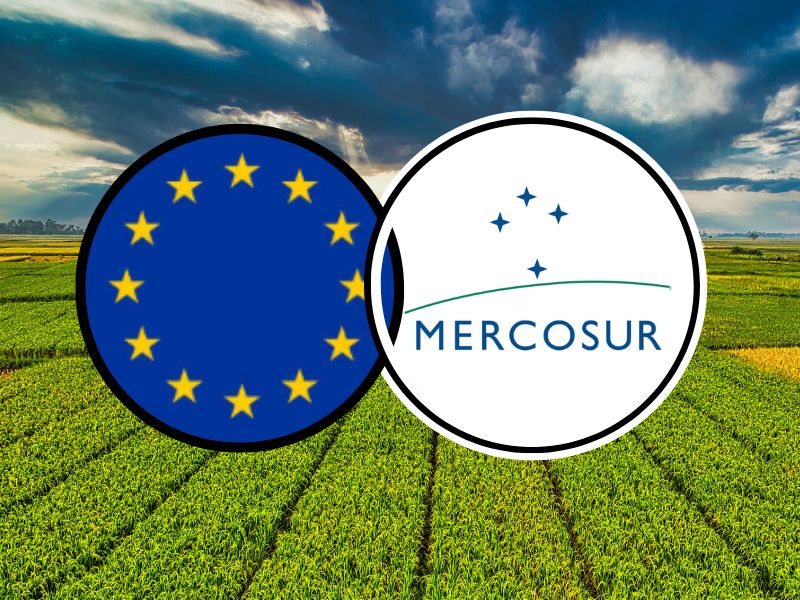 Mercosur: Τα κοτόπουλα με σαλμονέλα και το μεγάλο ερώτημα — ποιος θα φυλάει το πιάτο του Έλληνα;
