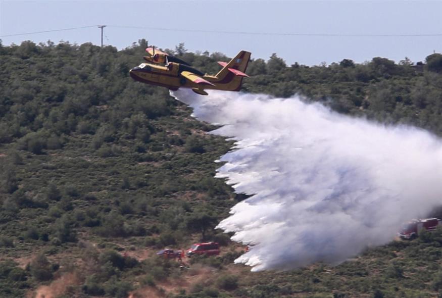 Φωτιά σε δασική περιοχή στην Εύβοια – Σηκώθηκαν 11 εναέρια μέσα