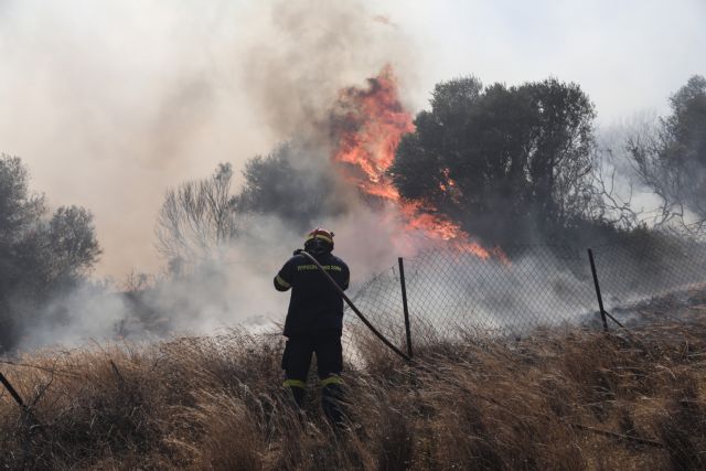 Φωτιά στην Κάρυστο: Εκκενώνονται Μεσοχώρια και Ραπταίοι – 15 εναέρια μέσα στη μάχη