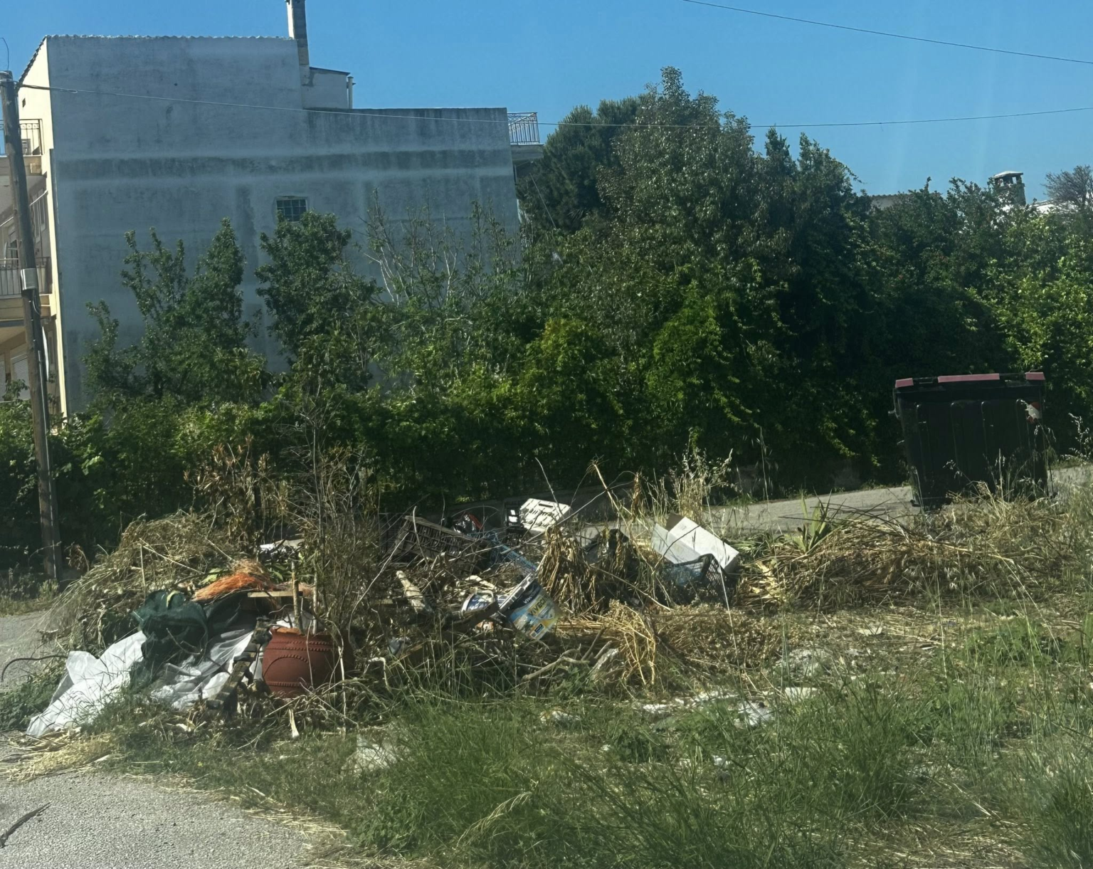 Δήμος Χαλκιδέων: Σκουπίδια, κλαδέματα και ξερά χόρτα παντού — Αν αυτή είναι η ετοιμότητα για το καλοκαίρι, τότε υπάρχει σοβαρό πρόβλημα διοίκησης