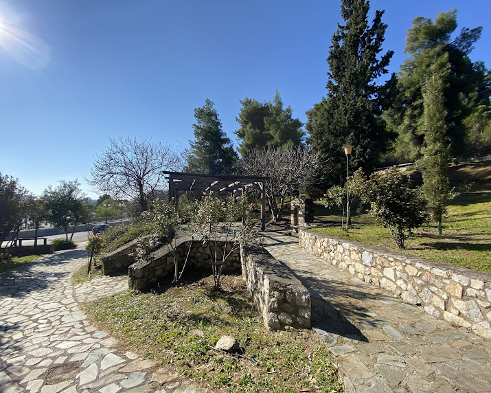 Άλσος Κανήθου: Βρωμιά, δυσωδία και κίνδυνος πυρκαγιάς στην «καρδιά» της Χαλκίδας