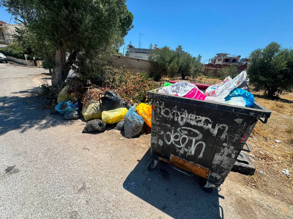 Τρεις γειτονιές της Χαλκίδας πνίγονται στα σκουπίδια – Καταγγελίες για χωματερές, καθυστερήσεις και ποντίκια