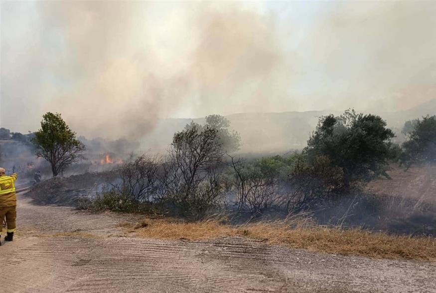 Συναγερμός στο Αλιβέρι: Μεγάλη φωτιά απειλεί κατοικίες – Μήνυμα 112 για εκκένωση, ισχυρές επίγειες και εναέριες δυνάμεις στη μάχη