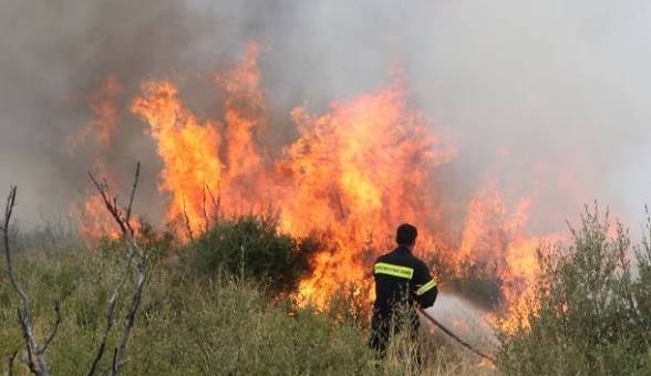 Φωτιά τώρα στη Μακρυκάπα Ευβοίας – Πιθανή αιτία η πτώση κεραυνού