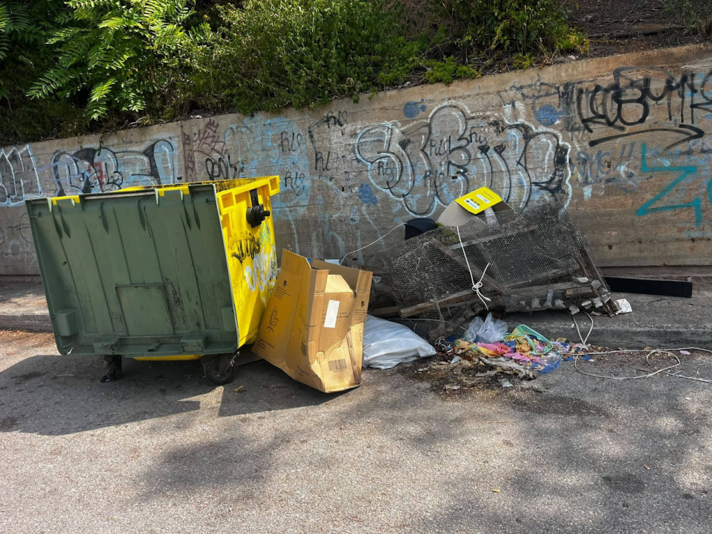 Χαλκίδα: Νεκρή γάτα σε αποσύνθεση και σκουπίδια επί δύο εβδομάδες στη Βενιζέλου