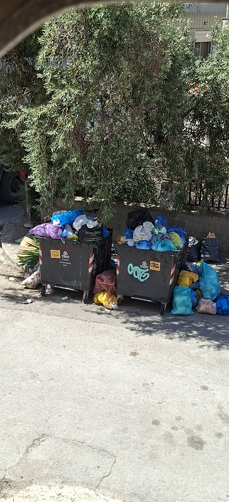 Χαλκίδα: Σκουπίδια και ποντίκια στην Αγία Παρασκευή – «Δεν μπορούμε να βγούμε στις βεράντες μας»