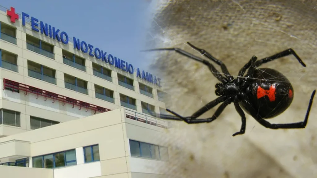 Αμφίκλεια: Εκτός κινδύνου ο 30χρονος μετά από πιθανό δάγκωμα «μαύρης χήρας»