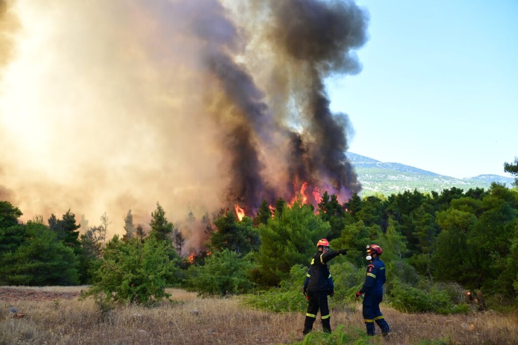 Σκύρος: Χωρίς ενεργό μέτωπο η φωτιά – Συνελήφθη 63χρονη για εμπρησμό από αμέλεια