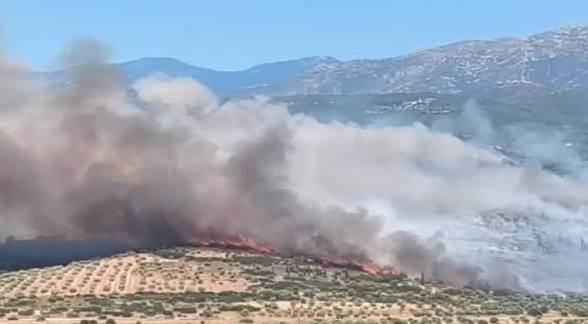 Χαλκίδα: Υπό έλεγχο τα δύο πύρινα μέτωπα σε Βαθροβούνι και Βατώντα