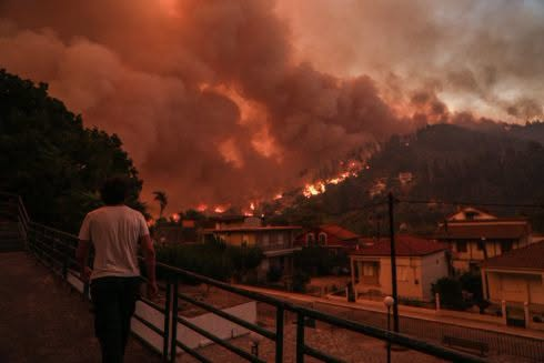 Βόρεια Εύβοια: Πέντε χρόνια μετά τη μεγάλη φωτιά, οι ρητινεργάτες παλεύουν ακόμη για να μείνουν στον τόπο τους