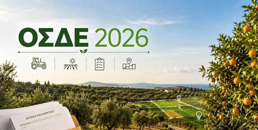 ΟΣΔΕ 2026: Η προθεσμία πέρασε, οι δηλώσεις έμειναν πίσω και η προκαταβολή του Οκτωβρίου μπαίνει σε κίνδυνο