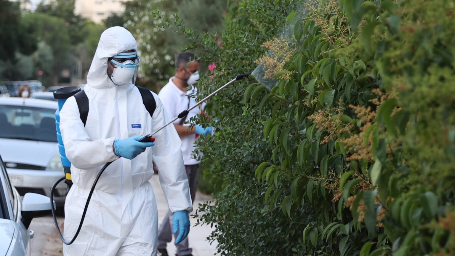 Ιός του Δυτικού Νείλου: Χαλκίδα και Θήβα στον επιδημιολογικό χάρτη – 58 νέα κρούσματα σε μία εβδομάδα