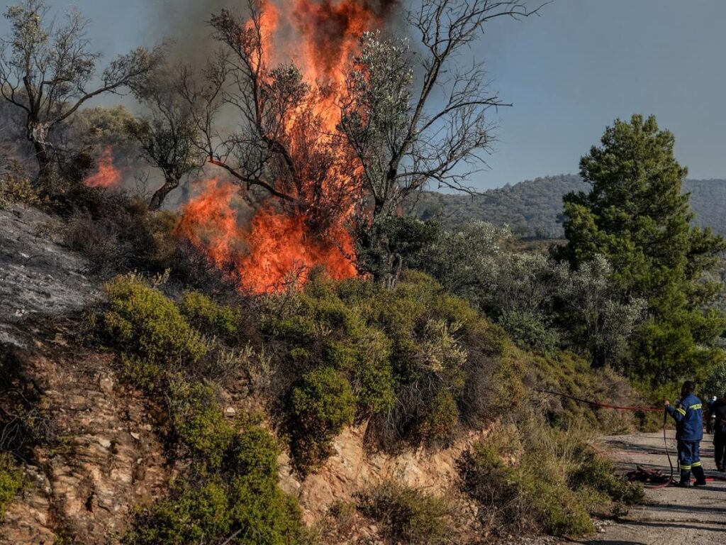Εύβοια: Υπό μερικό έλεγχο η φωτιά στον Μισόκαμπο – Ισχυρές δυνάμεις στην περιοχή
