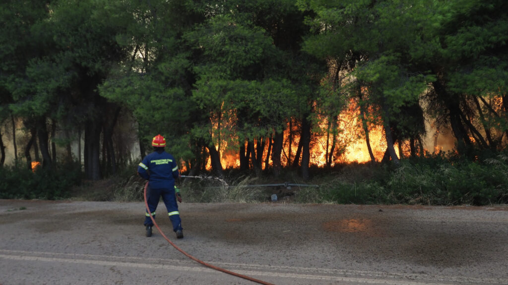 Μακρυκάπα–Τριάδα: Οι φλόγες περιορίστηκαν, οι ζημιές μένουν