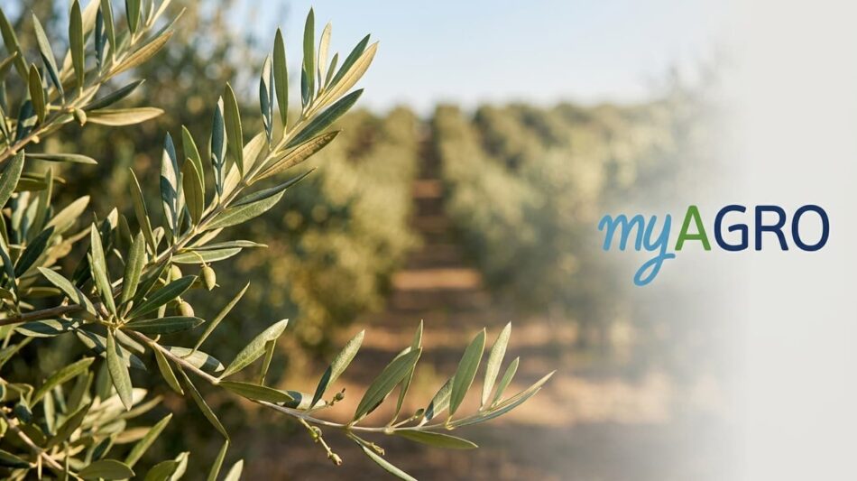 Φθιώτιδα: Αγωνία για το ΟΣΔΕ και τις επιδοτήσεις – Αναμένονται λύσεις στην πλατφόρμα