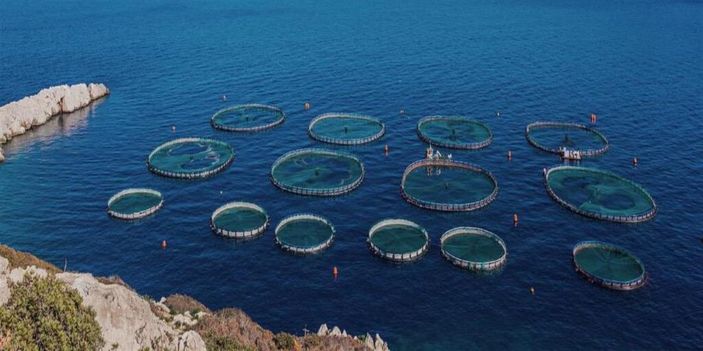 Φωκίδα: Στο επίκεντρο η ασφάλεια των εργαζομένων στις ιχθυοκαλλιέργειες