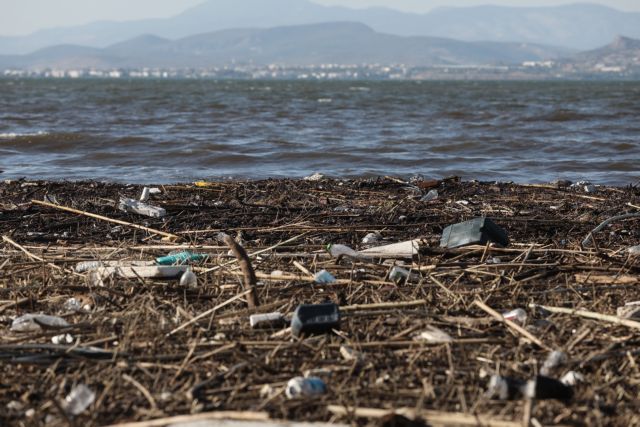 Δήλεσι: Γέμισε επισήμους η παραλία — πότε θα αδειάσει από τα φερτά υλικά;
