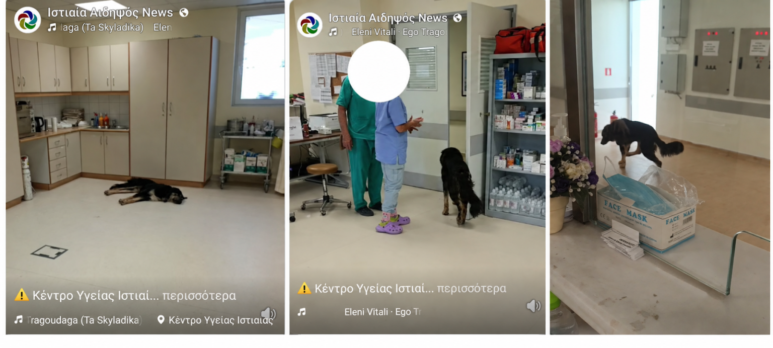 Κέντρο Υγείας Ιστιαίας: Οι εικόνες με τον σκύλο και οι ευθύνες που απαιτούν απαντήσεις